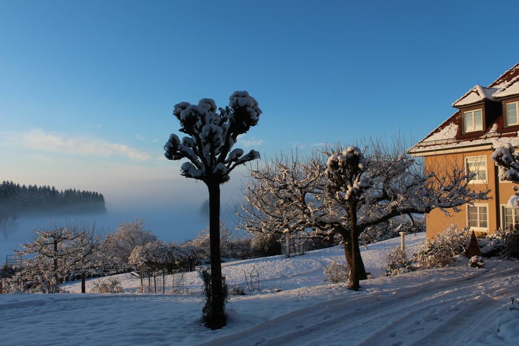 Gaestehaus Schloss Kronburg Εξωτερικό φωτογραφία